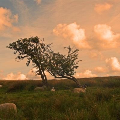 pg娱乐电子游戏